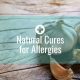Natural Cures for Allergies