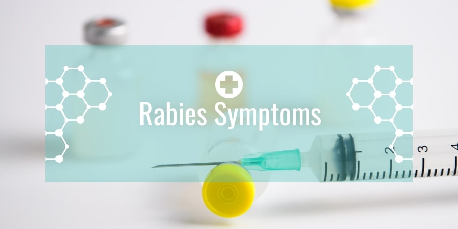 Rabies Symptoms