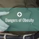 Dangers of Obesity