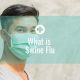 What is Swine Flu