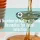 A Number of Natural Home Remedies for Yeast Infection
